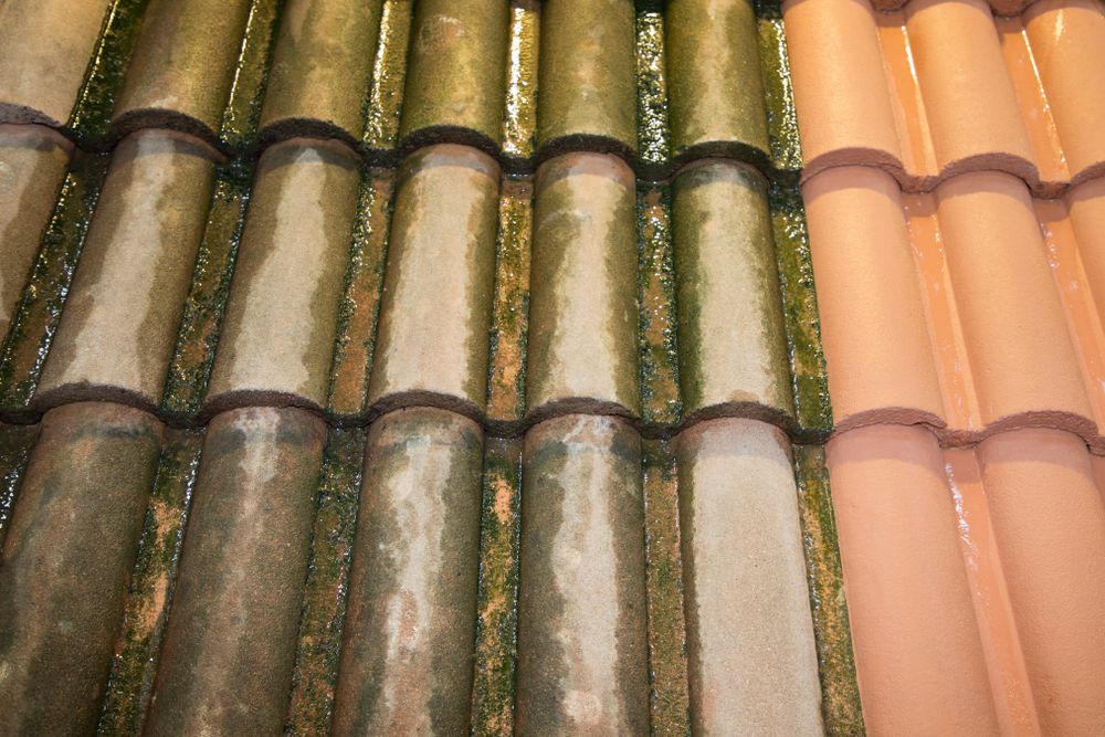 Oud vieze dakpannen laten inspecteren in Gulpen